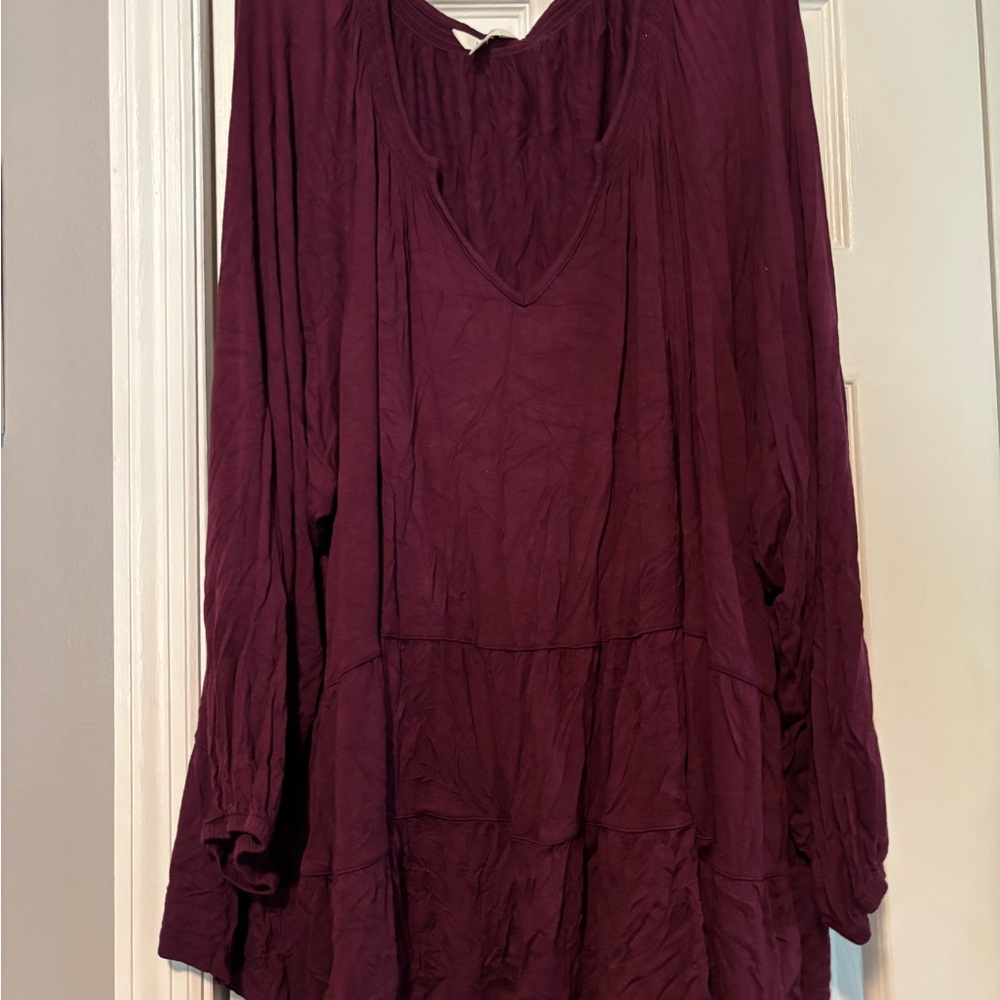 Terra & Sky Deep Purple V-Neck Tunic